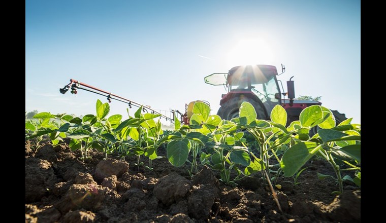 Die Kommission für Wirtschaft und Abgaben des Ständerats (Wak-S) hat am Freitag mit der Beratung zur Agrarpolitik ab 2022 begonnen, wie die Parlamentsdienste am Freitag mitteilten. (Bild: ©oticki/123RF.com)