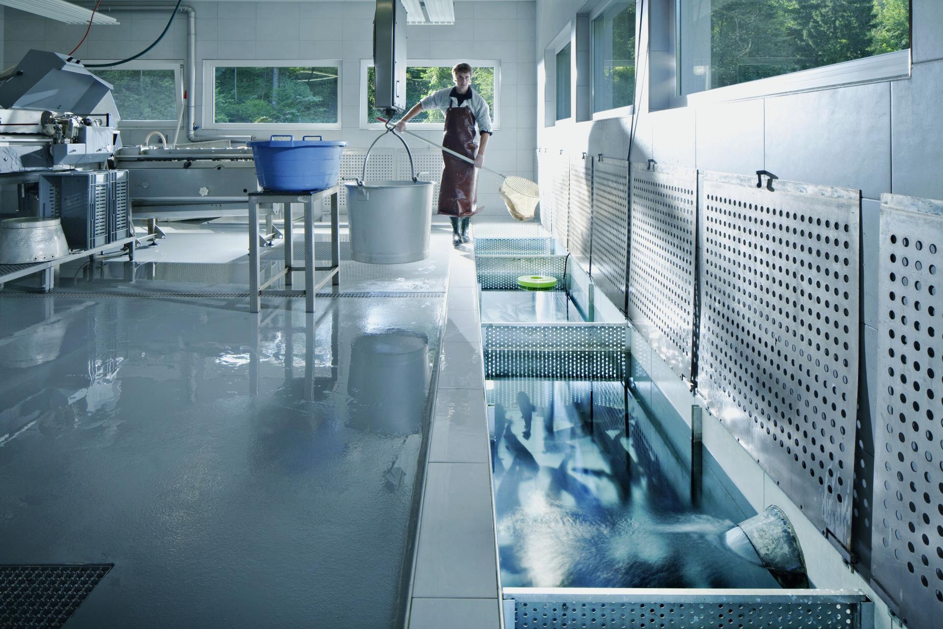 Weil die heutige Gesetzeslage betreffend Aquakulturanlagen wenig konkret ist, will das CC «Industrie und Gewerbe» gemeinsam mit einer interdisziplinär zusammengesetzten Arbeitsgruppe zwei Leitfäden erarbeiten, um einerseits die gewässer- und abfallrelevanten Anforderungen zu konkretisieren und andererseits den Stand der Technik zu beschreiben. 