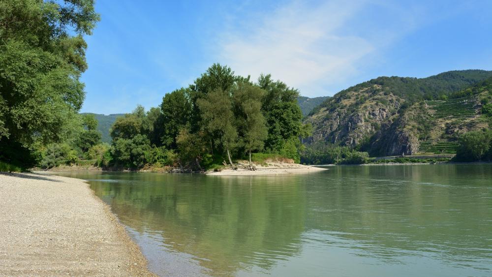 Auen an der Donau. (Bild: ©jggrz /3471 on Pixabay)