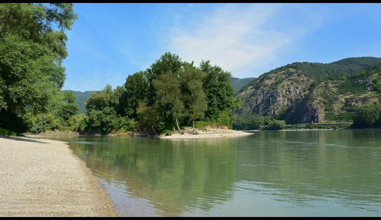 Auen an der Donau. (Bild: ©jggrz /3471 on Pixabay)