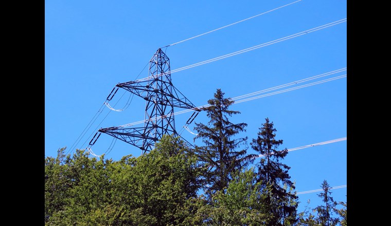 (c) mariokrpan/123rf.com