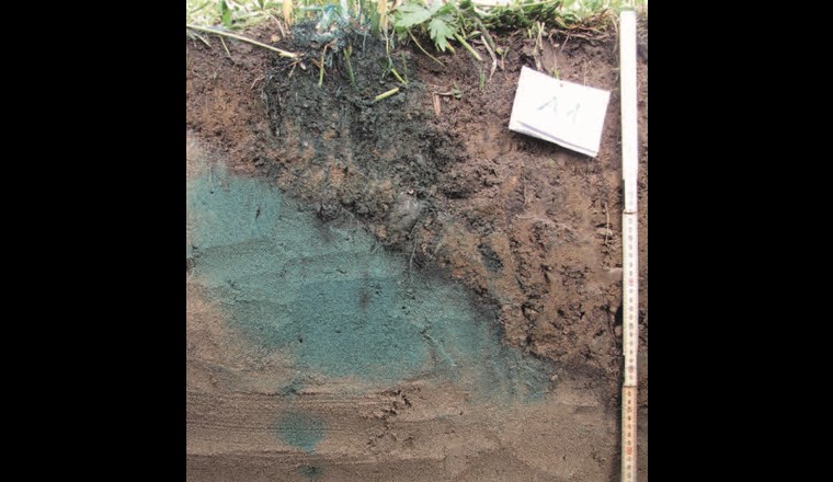 Verlagerung von Pneuabrieb und Farbtracer (Brilliant Blue) in einer Strassenabwasserbehandlungsanlage (SABA), in der Bodenmaterial oberhalb einer schräg verlaufenden Sandschicht eingebaut war [30].