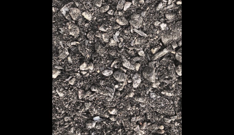 Mineralisches Substrat mit kompostierter Pflanzenkohle (INKohsoil). (©Saluz)