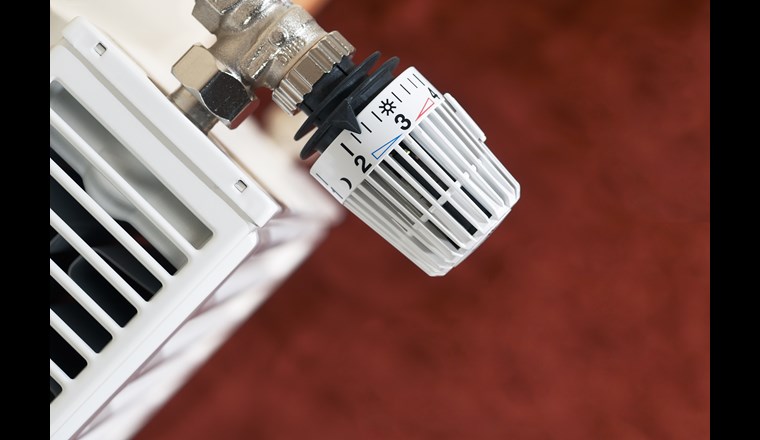 (©Ingo Bartussek/adobestock)