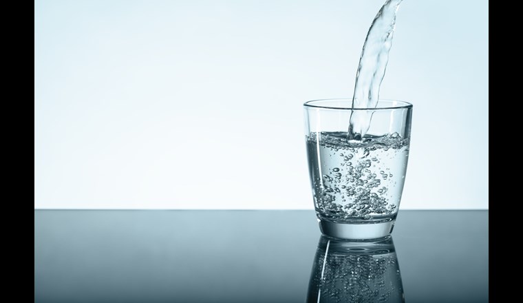 Angesichts der möglichen Strom-Mangellage bot sich mit diesem Anlass eine gute Gelegenheit, die Anwesenden nochmals eindringlich für die notwendigen Vorbereitungsmassnahmen in der Wasserversorgung zu sensibilisieren. (Bild: ©srkphoto)