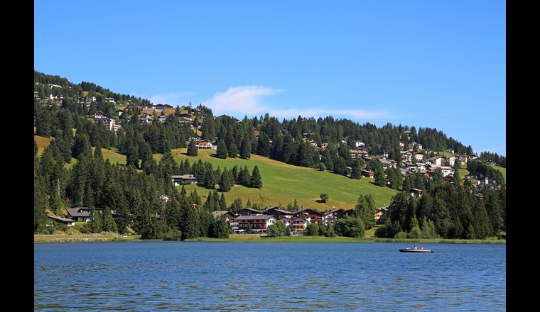 (Bild: ©adobestock)