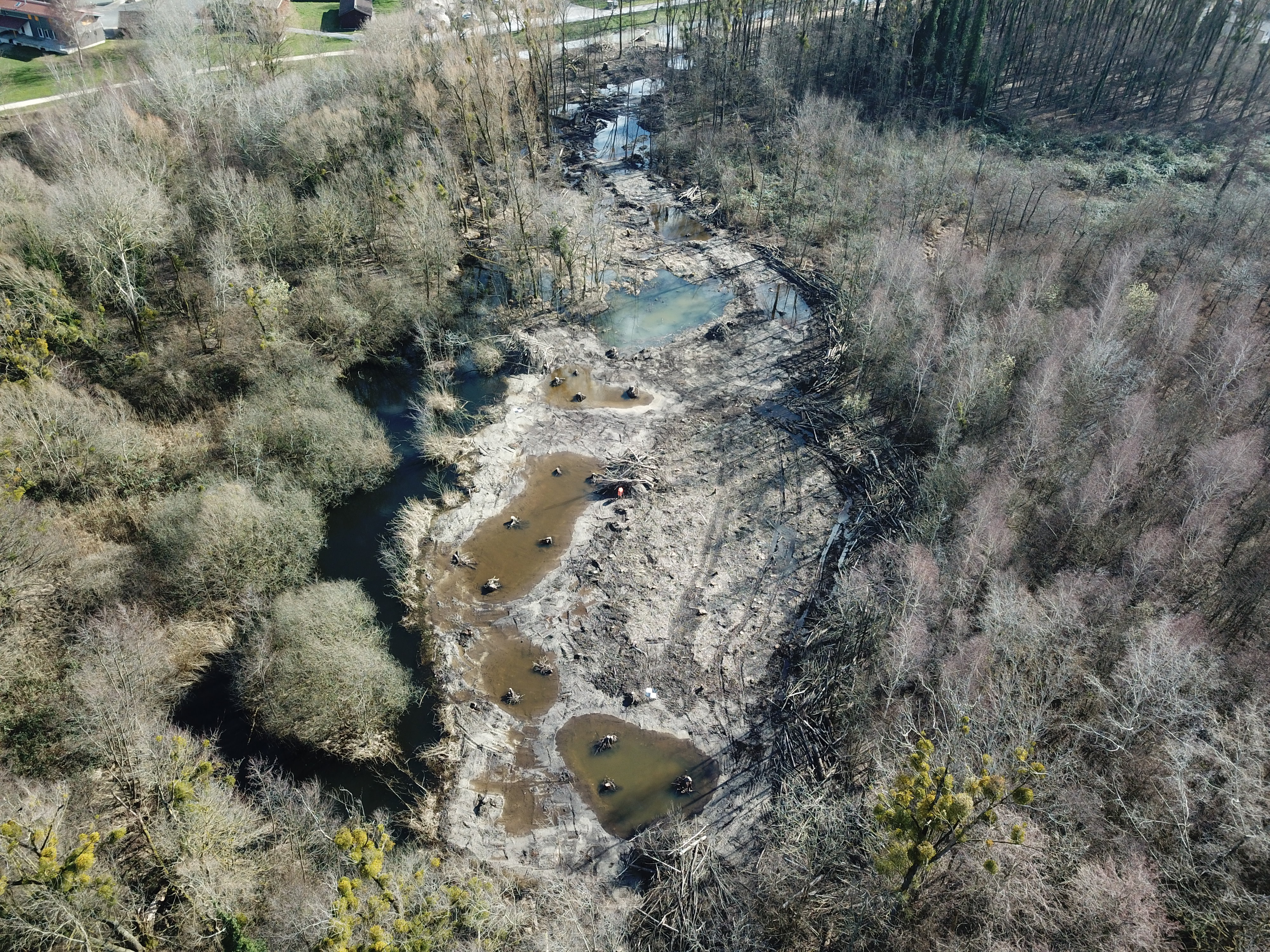 Les dépôts de matériaux existants en rive gauche de l’embouchure, au sein du Bois des Vernes, ont été évacués et des plans d’eau creusés de manière à rétablir un régime hydrique du sol favorable au développement de successions végétales alluviales en station. (© biol conseils)
