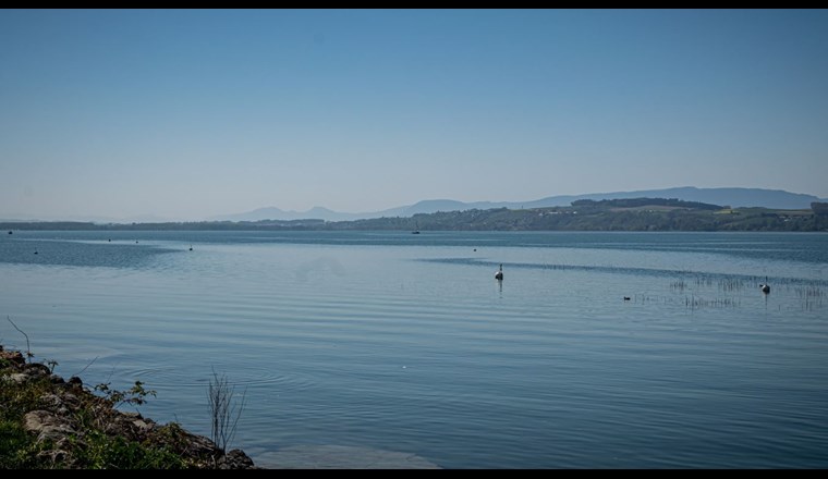 (Bild: ©Adobe Stock)