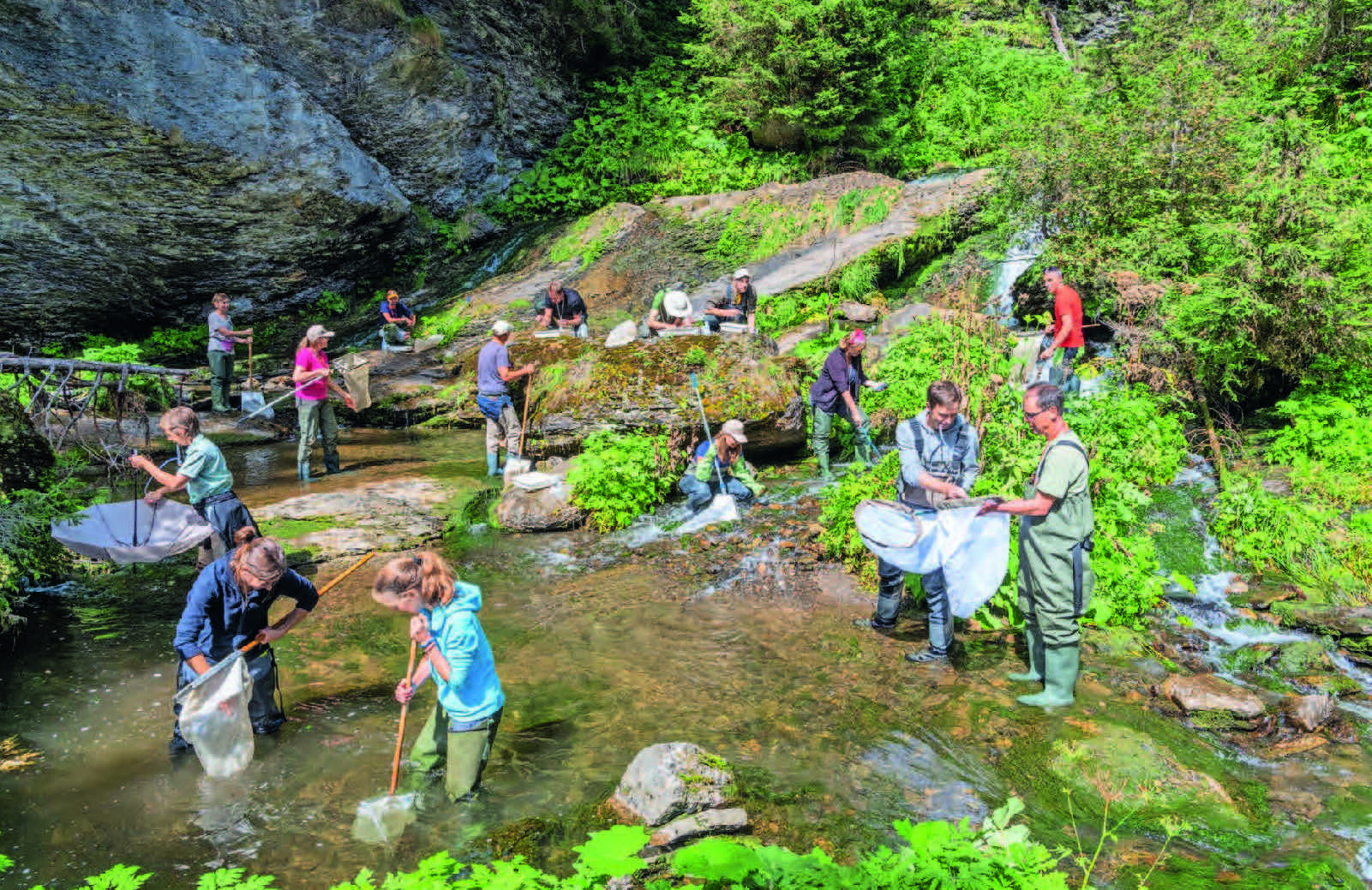 Ein Feldteam aus rund 20 Gewässerspezialistinnen und -spezialisten ist in der ganzen Schweiz unterwegs, um jedes Jahr rund 100 Gewässerabschnitte mittels Kick-Sampling zu beproben, die Ökomorphologie zu ermitteln und die Gewässerwirbellosen auf Familienniveau zu bestimmen. (© Beat Ernst)