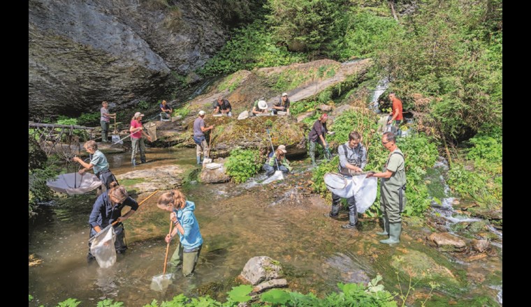 Ein Feldteam aus rund 20 Gewässerspezialistinnen und -spezialisten ist in der ganzen Schweiz unterwegs, um jedes Jahr rund 100 Gewässerabschnitte mittels Kick-Sampling zu beproben, die Ökomorphologie zu ermitteln und die Gewässerwirbellosen auf Familienniveau zu bestimmen. (© Beat Ernst)