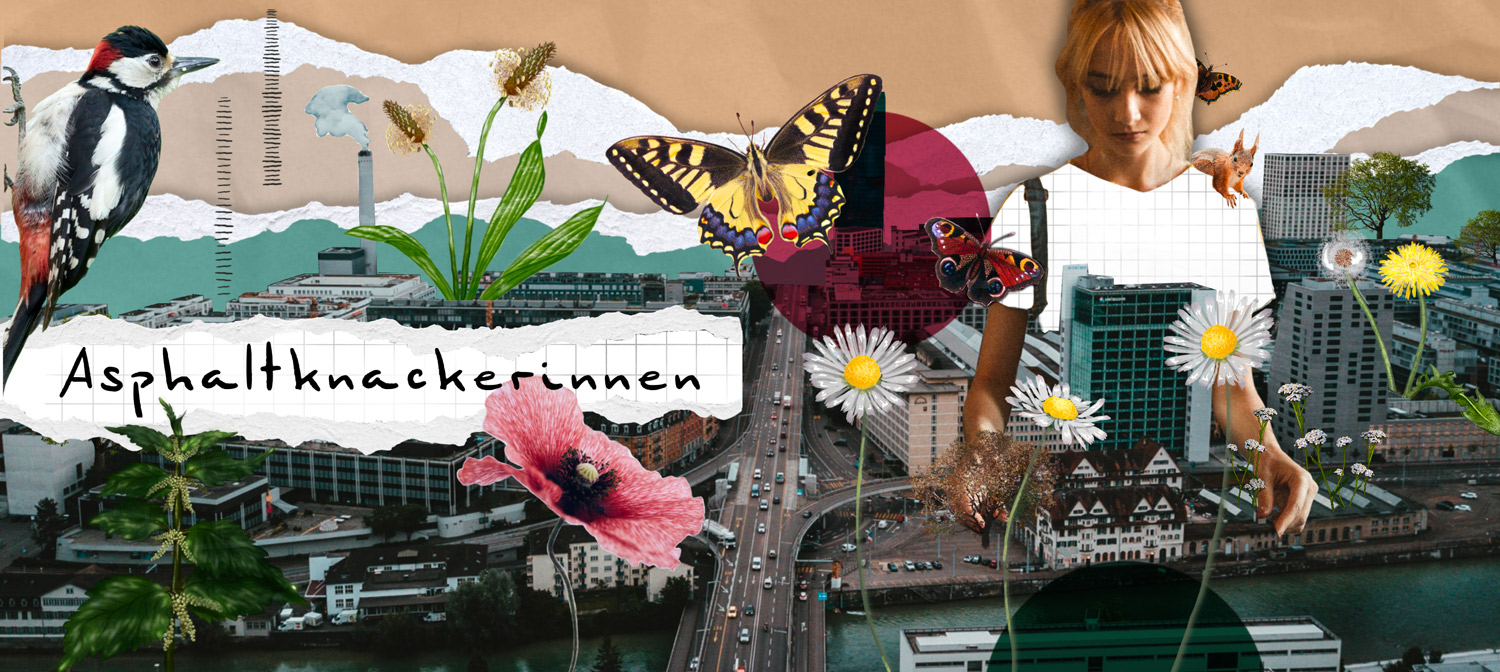 (c) asphaltknackerinnen.ch