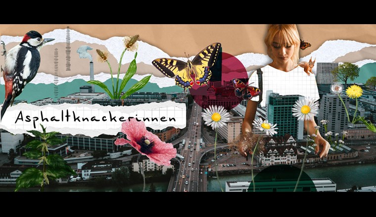 (c) asphaltknackerinnen.ch