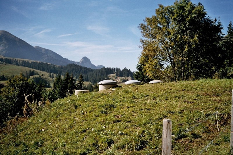 Die revidierte GSchV tritt per 1. Februar 2023 in Kraft.