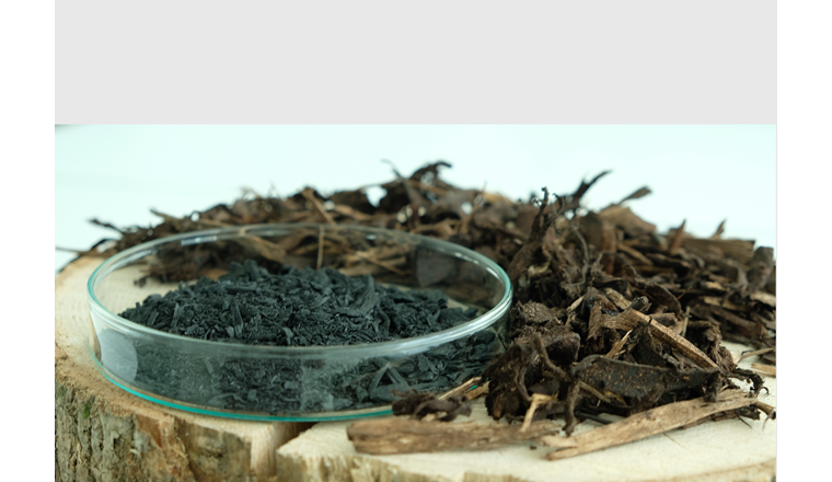 Eine «neue» Biomasse mit grossem Potenzial für die Bereitstellung von erneuerbarer Wärme und von Pflanzenkohle: Rinde von Waldholz. In der Schale ist die daraus erzeugte Pflanzenkohle zu sehen. (Foto: © L. Marchand/FHNW)