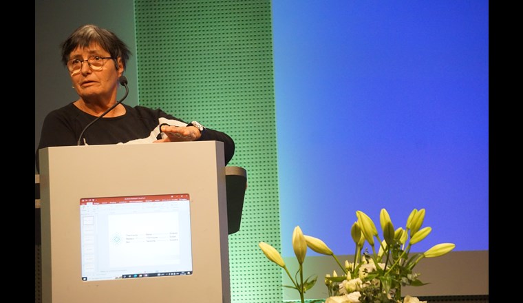 Überraschungsgast war die Astrophysikerin Kathrin Altwegg. Sie ging unserem Fernwärmelieferanten, der Sonne, mit viel trockenem Humor auf den Grund – vom Urknall bis zum bitteren Ende. Ein mitreissendes Referat über den ältesten Himmelskörper unseres Sonnensystems.