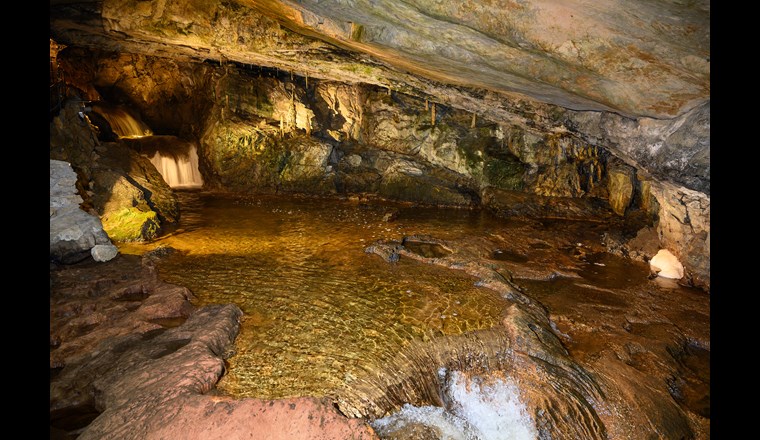 (Bild: ©adobestock)