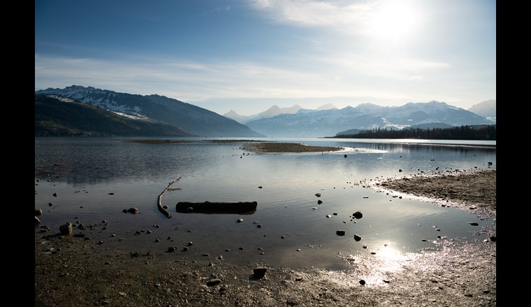 (Bild: ©adobestock)