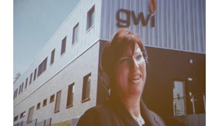 Wie unterscheidet sich der Brennstoff Wasserstoff vom Brennstoff Erdgas? Antworten auf diese Frage gab Anne Giese vom gwi.