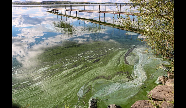 (Bild: ©adobestock)