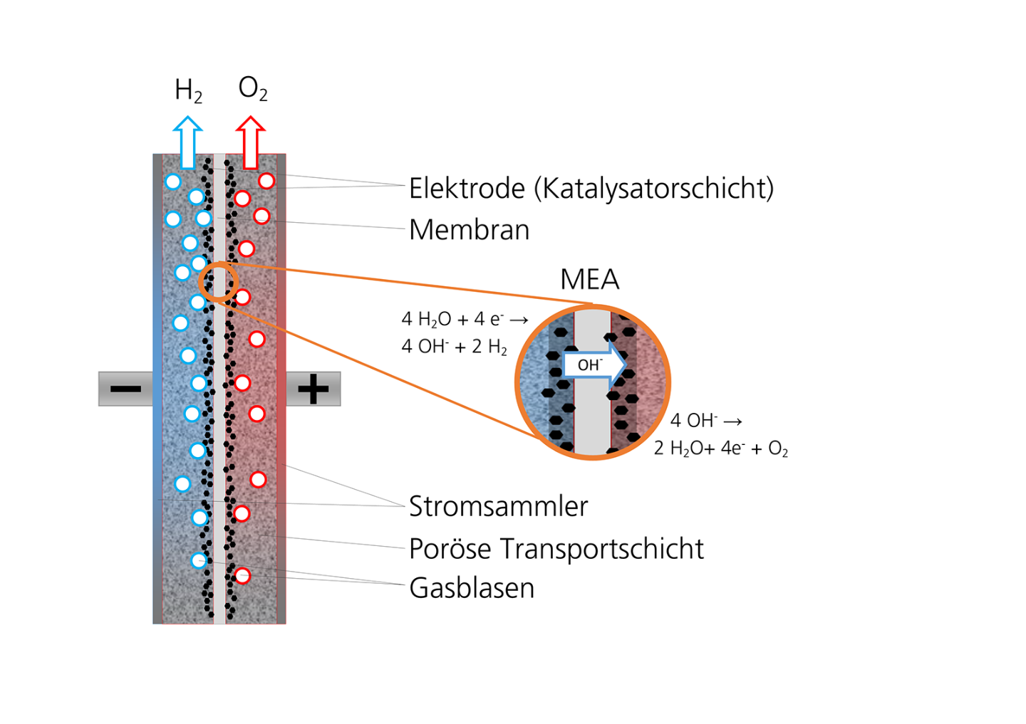 Schema einer AEM-Elektroysezelle: Das Herzstück ist die Membran-Elektroden-Einheit (MEA), die aus der Anionen-leitenden Membran und den unmittelbar verbundenen Elektroden besteht. (Bild: © Fraunhofer IFAM)