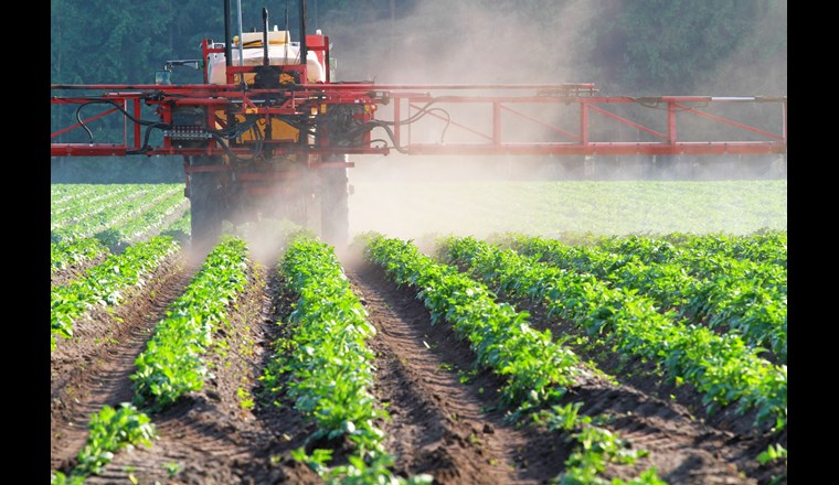 Die Vorgabe gilt ab 2025 für alle Betriebe, Organisationen und Unternehmen, die Pflanzenschutzmittel einsetzen oder mit Dünger, Kraftfutter und Pflanzenschutzmitteln handeln. (Bild: ©adobestock)