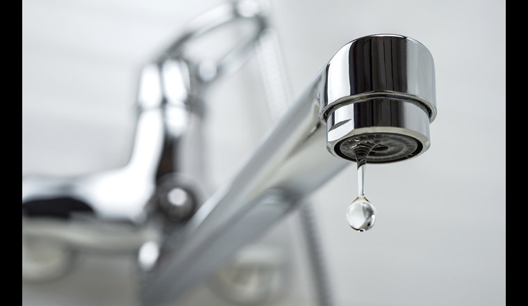 (Bild: ©adobestock)