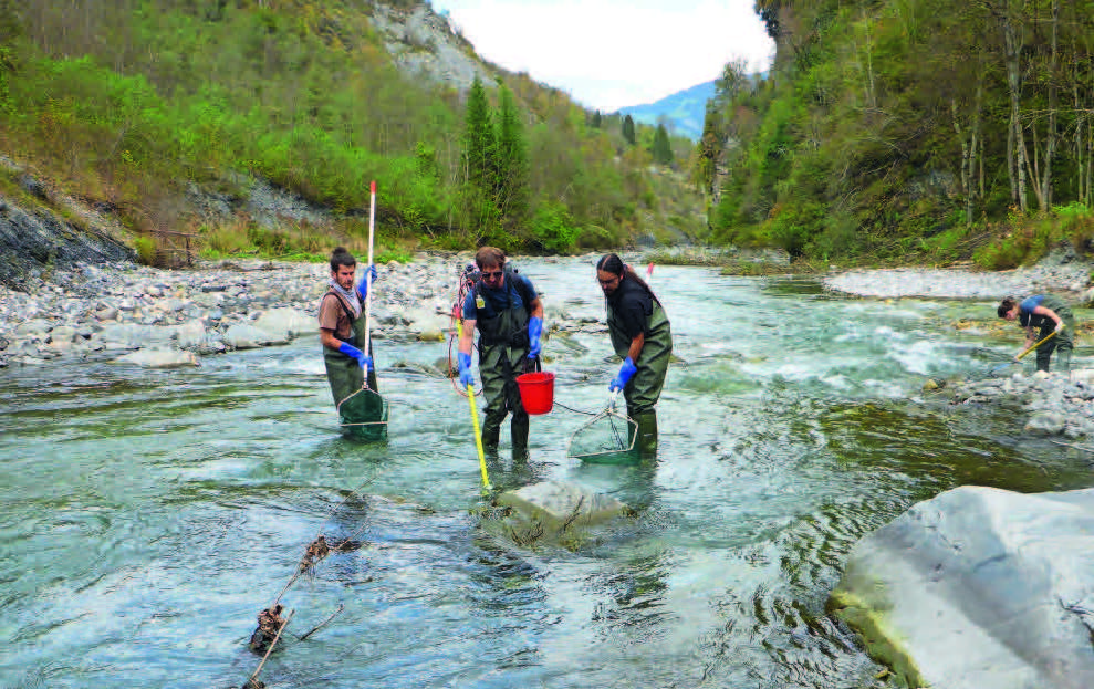 Qualitative elektrische Befischung ohne Blocknetz an der Glogn.