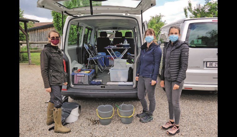 Ökotoxikologische Biotests erlauben ein kosten- und zeiteffizientes Screening, um das Risiko bestimmter Stoffgruppen für Organismen in der Umwelt abzuschätzen. Im Bild: Team vom Oekotoxzentrum mit Fischen aus dem Hemishoferbach zu den Füssen. Die Wasserproben befinden sich in den Kühlboxen im Auto.