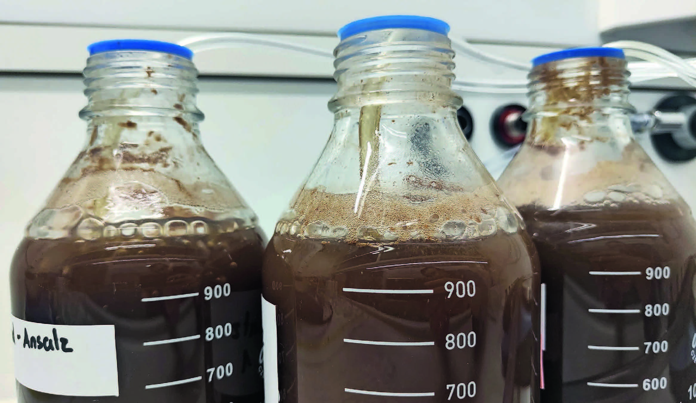 Einwicklung eines alternativen inhärenten Abbautest für Industrieabwasser.