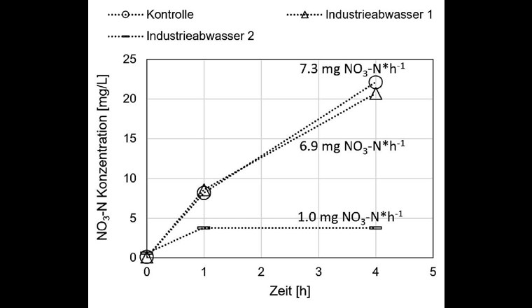 Fig. 6 Verlauf der Nitratkonzentration in der Kontrolle und in zwei Abwasserproben. Die Raten der Nitrifikation sind angegeben. Die Industrieabwasserprobe 2 hemmt die Nitrifikation.
