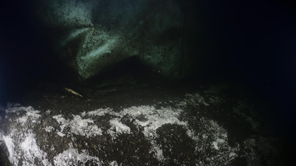 In den Tiefen von Seen weltweit wird der Sauerstoff zunehmend knapp. Das hat weitreichende Auswirkungen, auch auf verschiedene Stoffwechselprozesse am Gewässergrund. (Bild: ©Solvin Zankl)