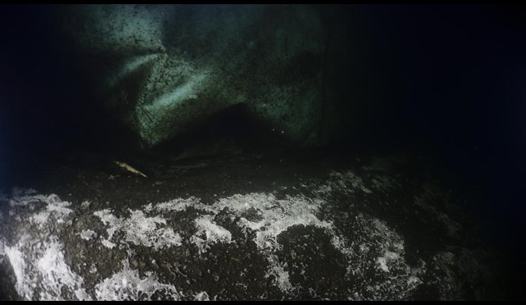 In den Tiefen von Seen weltweit wird der Sauerstoff zunehmend knapp. Das hat weitreichende Auswirkungen, auch auf verschiedene Stoffwechselprozesse am Gewässergrund. (Bild: ©Solvin Zankl)