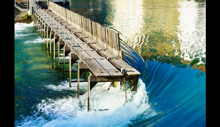 (Bild: ©adobestock)