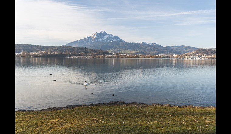 (Bild: ©adobestock)