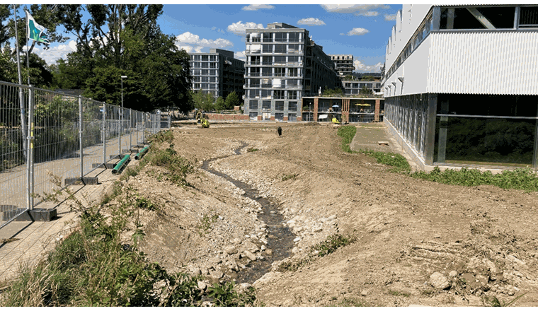 Albisrieder Dorfbach, Sommer 2022 und heute (2023). Foto: Stefan Hasler/VSA