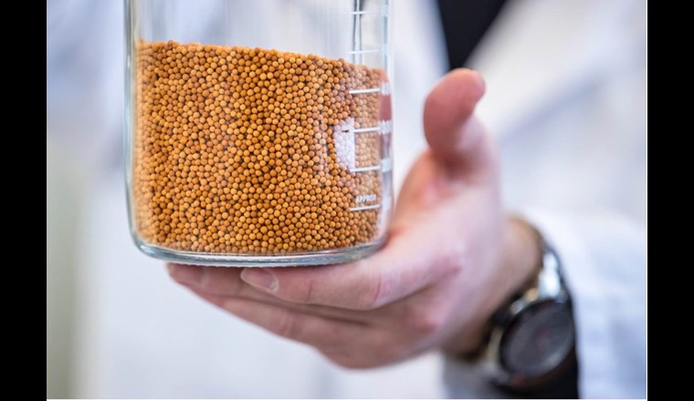 Ein Forscherteam um Stefanie Mizuno (Ostschweizer Fachhochschule) hat einen umweltfreundlichen Eisenkatalysator und ein neues industriell skalierbares Reaktorkonzept entwickelt, mit dem sich das CO2 in Biogas (unter Beigabe von Wasserstoff) hocheffizient zu Methan umwandeln lässt. Im Bild: das Eisen-basierte Material, das die Grundlage des Katalysators bildet. (Bild: ©OST)