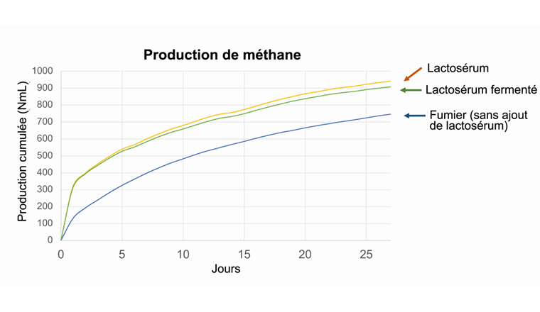 Elisa Nota (HEIG-VD) a montré dans une étude qu’il était possible d’augmenter le rendement énergétique (production de méthane) dans un réacteur à biogaz en ajoutant au substrat de fermentation du lactosérum (fermenté ou non), qui est un déchet produit dans les fromageries. (Image: ©Elisa Nota)