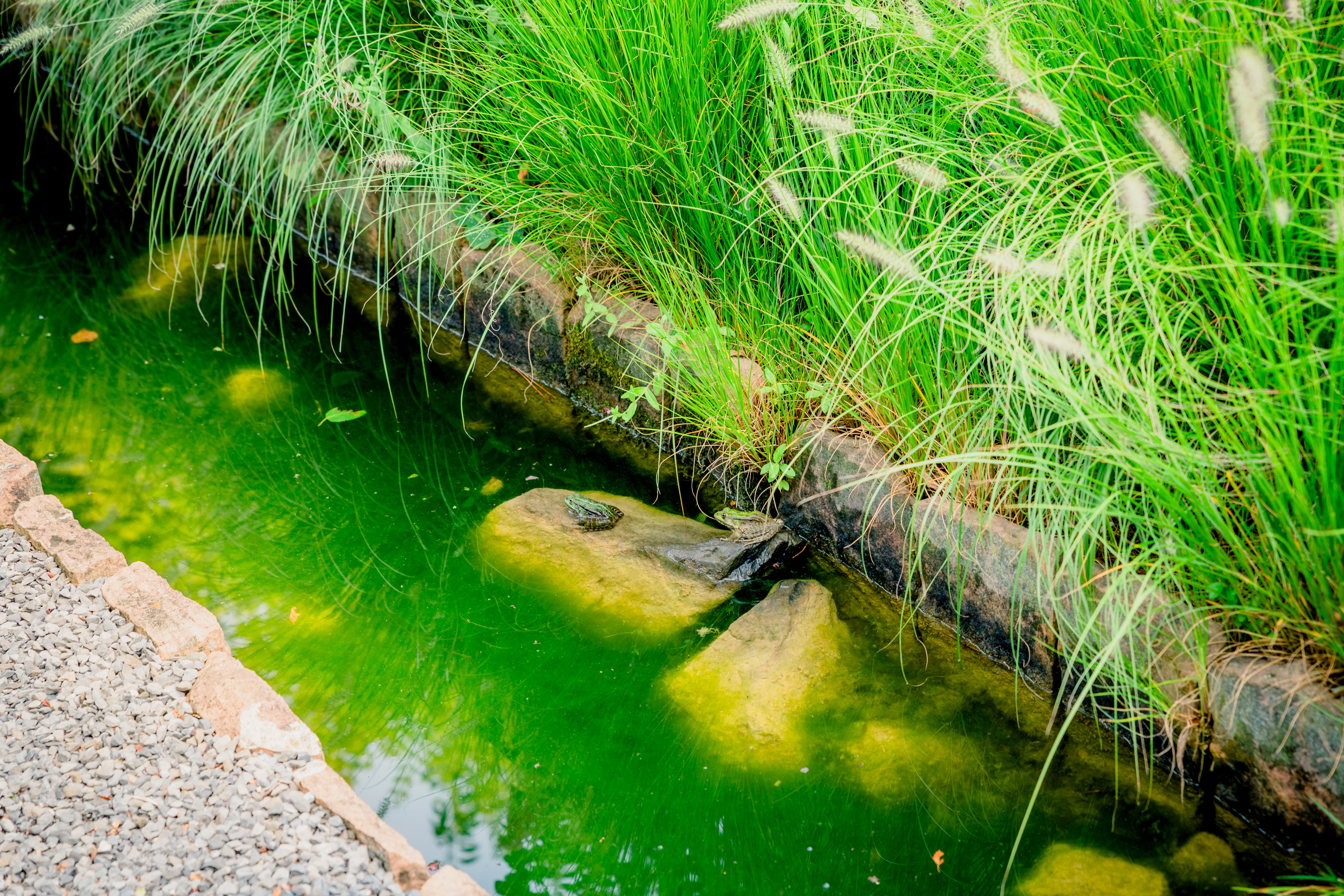 (Bild: ©adobestock)