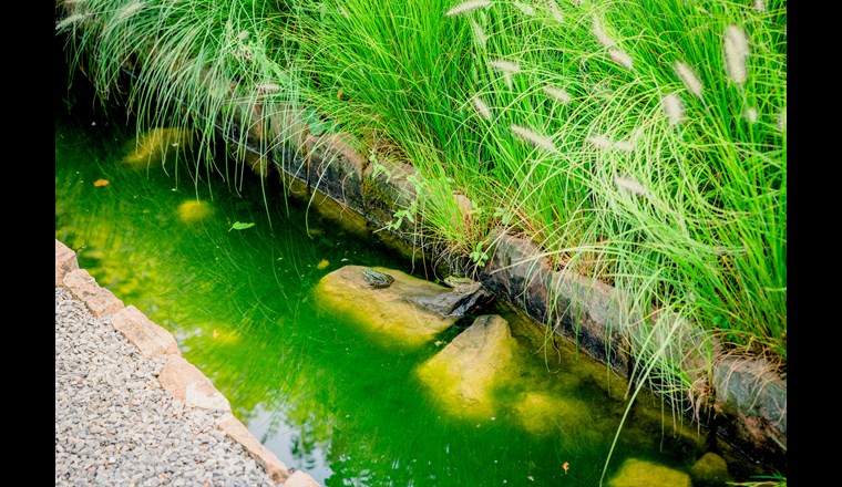 (Bild: ©adobestock)