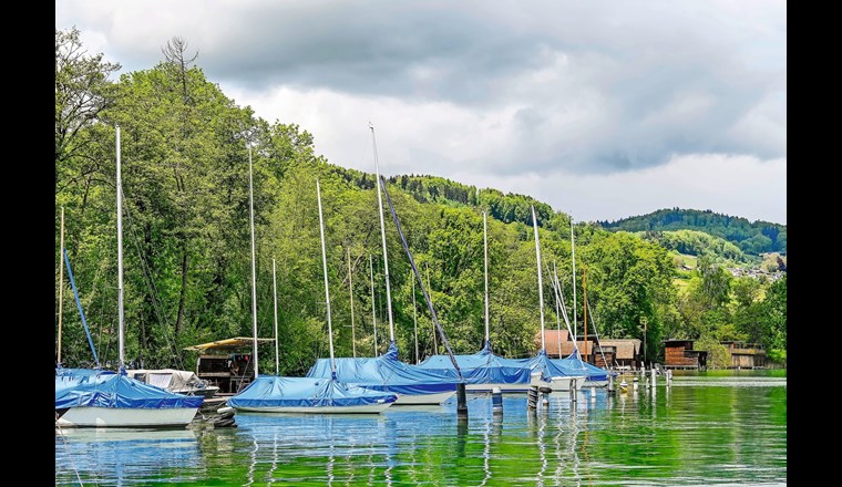 Für den Hallwilersee besteht seit 2021 eine Bootsreinigungspflicht, um eine Ausbreitung der Quaggamuscheln zu verhindern. Weitere Kantone ­prüfen nun ebenfalls die Einführung einer solchen Pflicht. (© AdobeStock)