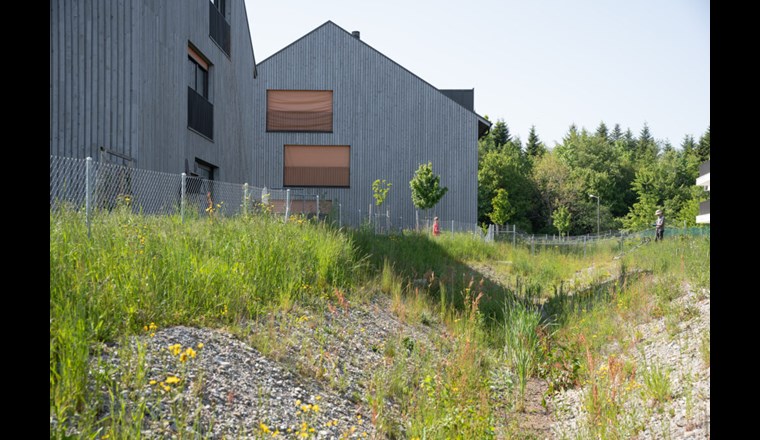 Ein gross angelegter biologischer Korridor vernetzt benachbarte Lebensräume und ermöglicht Klein- und Mikrofauna zu wandern und sich zu verbreiten.

Fotografie: Stefanie Würsch