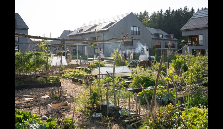 Die Bauherrin Genossenschaft Codha fördert mit grossen Gartenzonen die Nutzung der Aussenräume und den Naturbezug aktiv und ermöglicht eine teilweise Selbstversorgung der Bewohnerschaft. Gleichzeitig wird damit die Gemeinschaft gestärkt.

Fotografie: Stefanie Würsch
