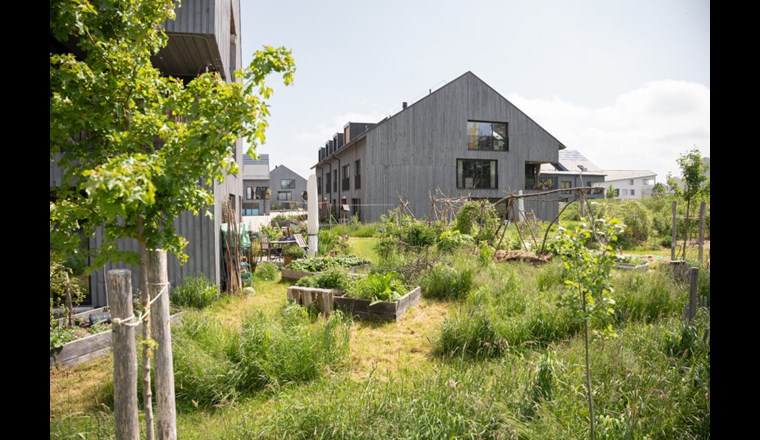Der Gemeinschafts-Gemüsegarten wurde partizipativ designt, im Kollektiv angelegt und wird nun zweimal in der Woche gemeinsam nach dem Prinzip der Permakultur bewirtschaftet.

Fotografie: Stefanie Würsch