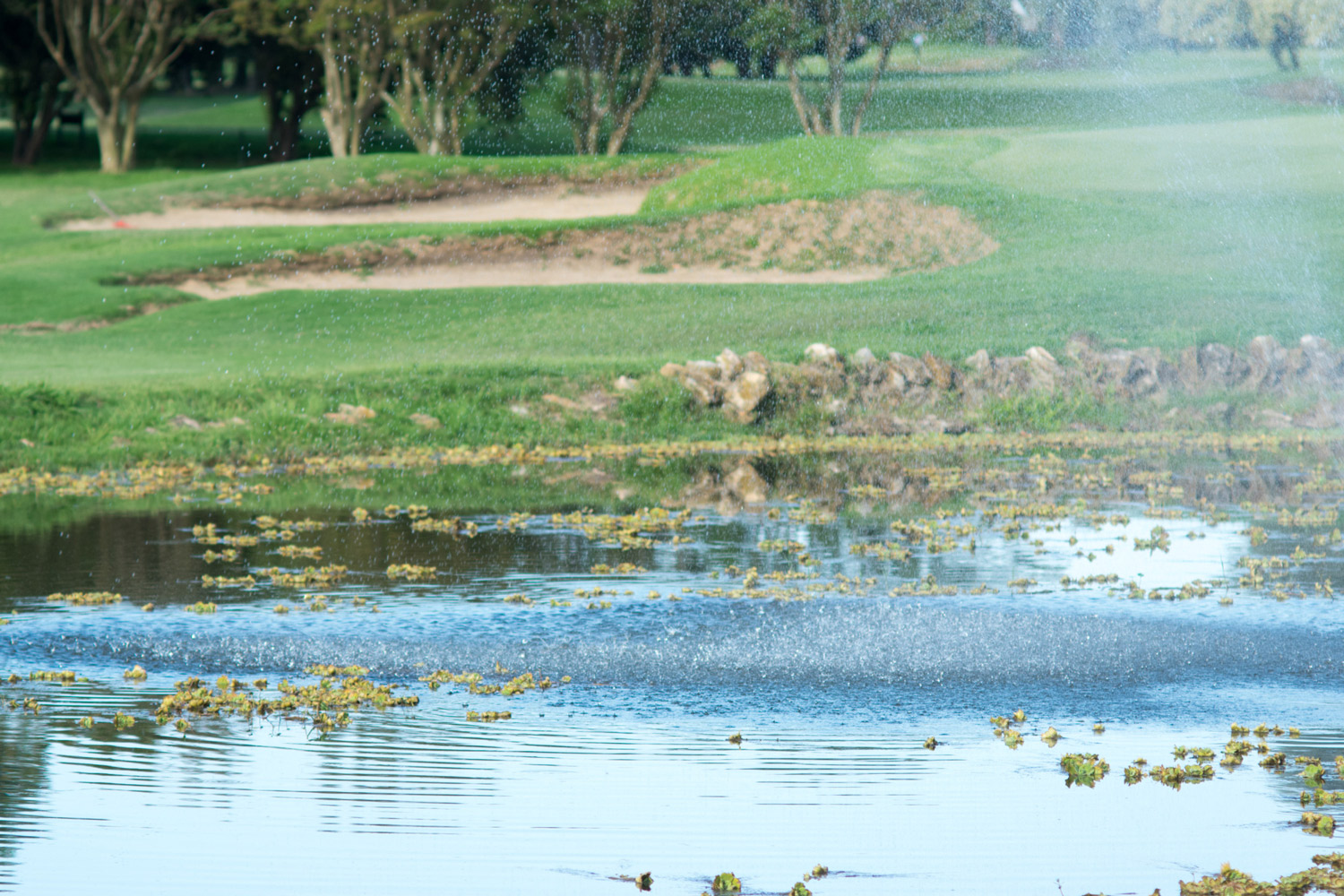 Foto: rucu77/123rf.com