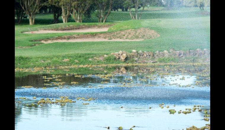 Foto: rucu77/123rf.com