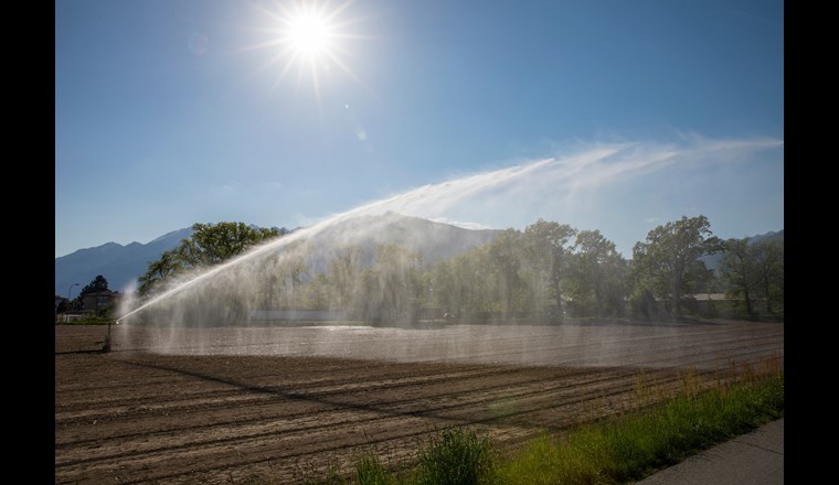 (Bild: ©adobestock)