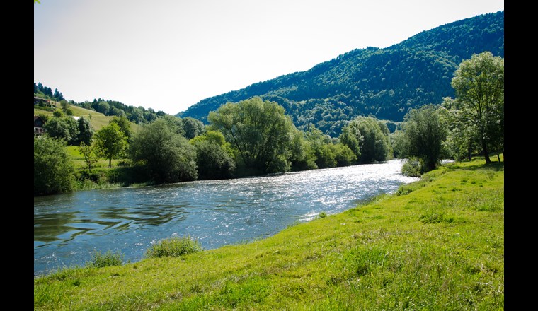 Doubs: Monitoring zeigt positive Auswirkungen des neuen Wasserreglements. (Bild: ©adobestock)