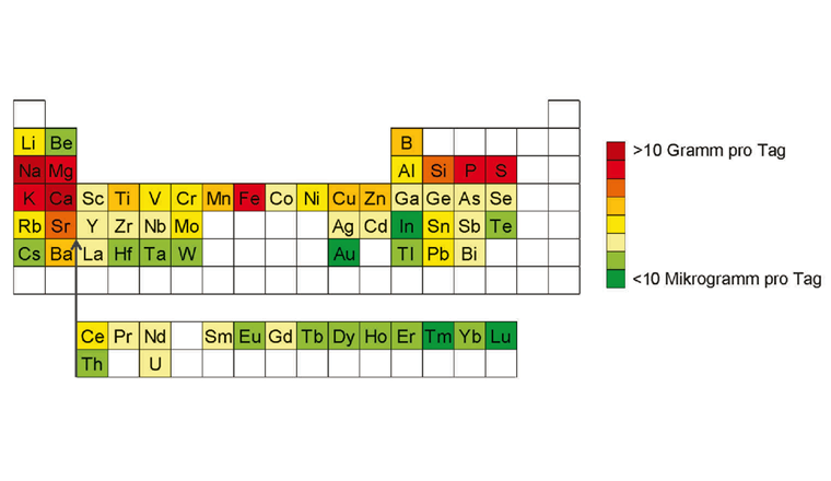 Durchschnittliche Pro-Kopf-Elementfrachten im Kläranlagenzufluss (bevölkerungsgewichtetet, basierend auf 64 Schweizer Kläranlagen). Die Spanne der Elementfrachten wird durch die Farbskalierung des Periodensystems veranschaulicht.