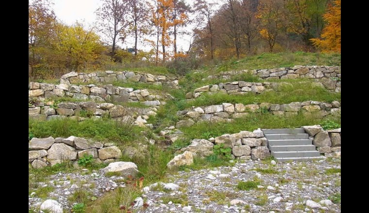 Fig. 3 Direkt neben dem Wasserbiotop beleben Trockensteinmauern, Wildstauden und eine grosse Ruderalfläche das Areal. Hier finden seltene, lichtliebende Pflanzen Platz zum Wachsen und Reptilien sowie Insekten Nahrung und Unterschlupf. 