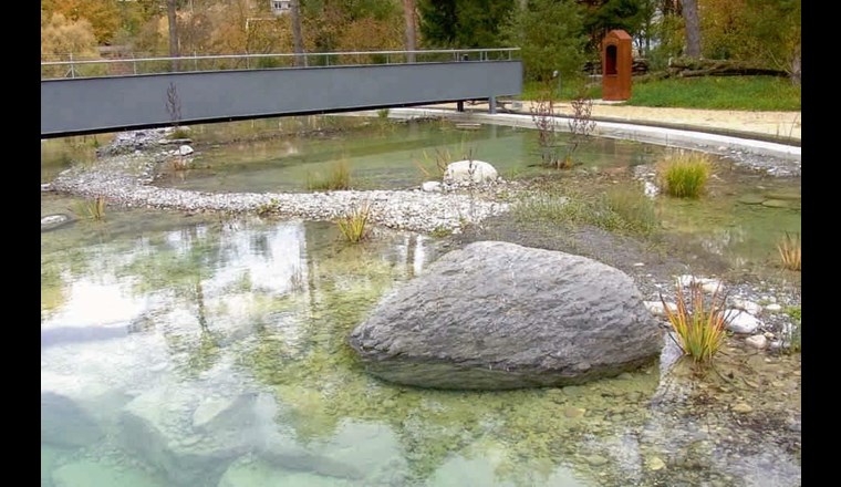 Fig. 2 Im ehemaligen Nachklärbecken ist Platz für Flachwasser und Tiefwasserbereiche. Dieser sorgsam gestaltete flache Uferbereich bietet gute Laichplätze für Amphibien.
